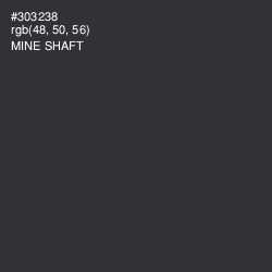 #303238 - Mine Shaft Color Image